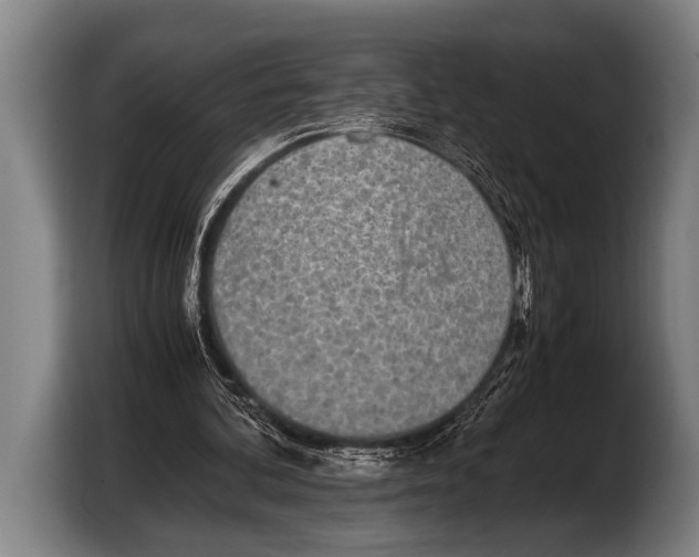 X0000103330292200810061020