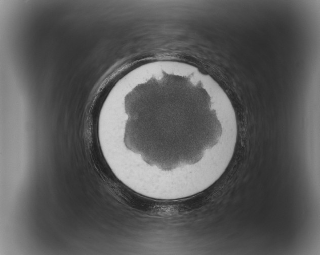 X0000103330295200810061020