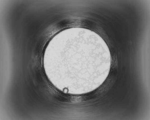 X0000103330301200810061020