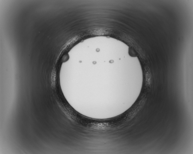 X0000103330304200810061020