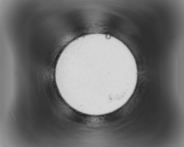 X0000103330305200810061020