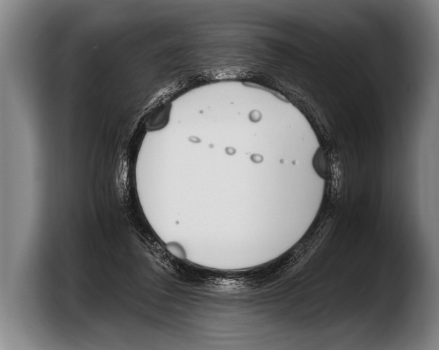 X0000103330308200810061020