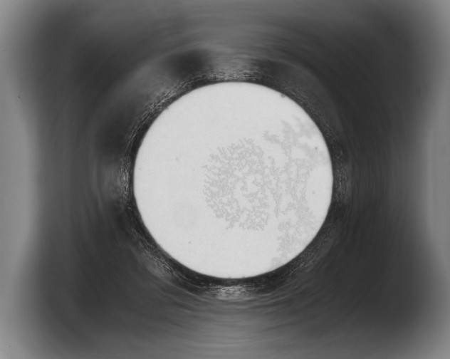 X0000103330309200810061020