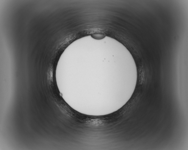 X0000103330310200810061020