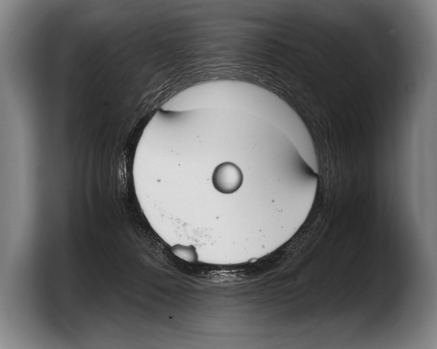 X0000103330320200810061020