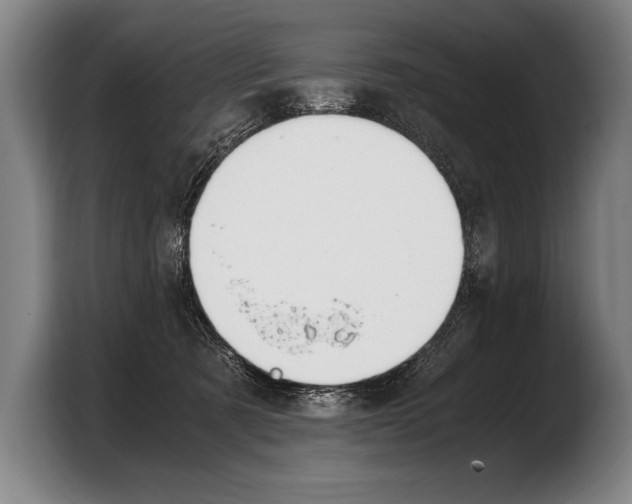 X0000103330321200810061020