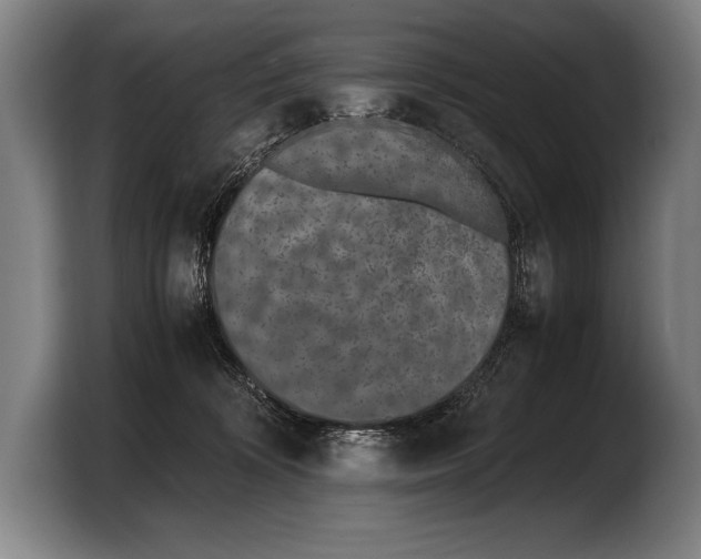 X0000103330324200810061020