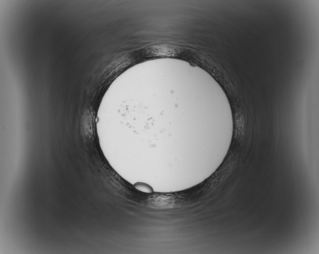 X0000103330325200810061020