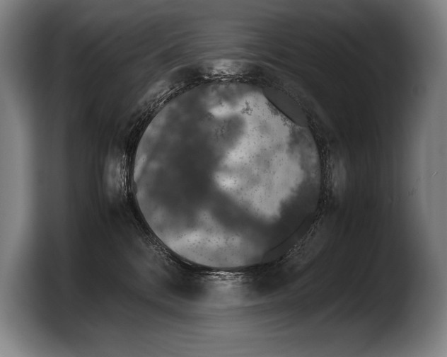 X0000103330328200810061020