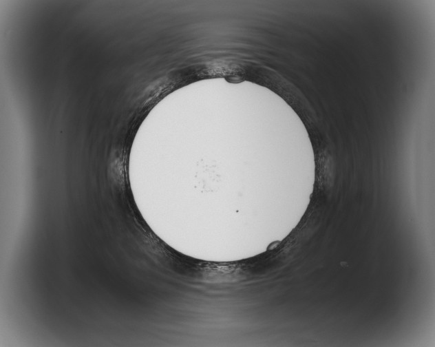 X0000103330329200810061020