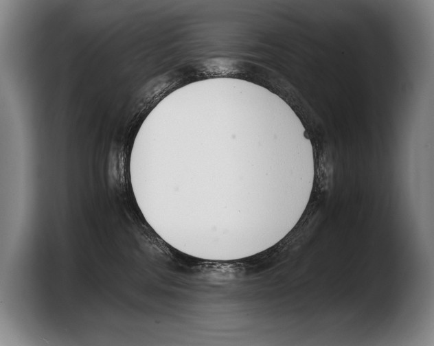 X0000103330330200810061020