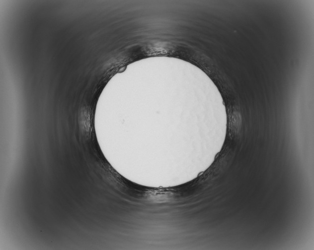 X0000103330331200810061020