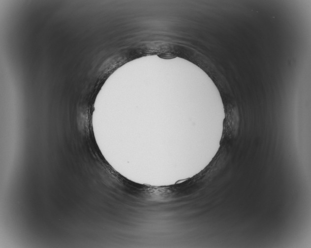 X0000103330333200810061019