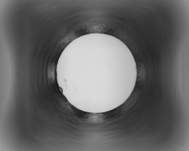 X0000103330334200810061019