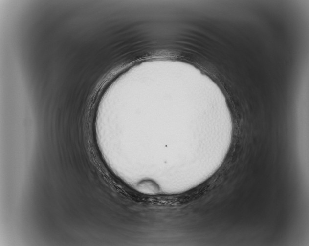 X0000103330337200810061019