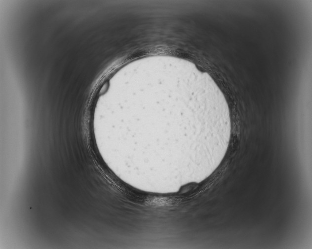 X0000103330341200810061019