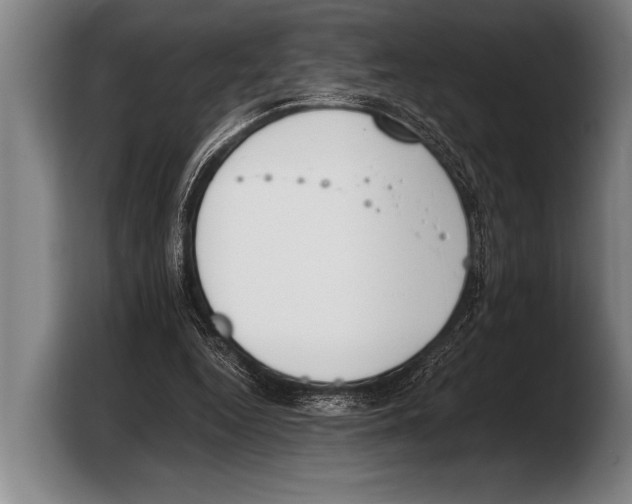 X0000103330344200810061019