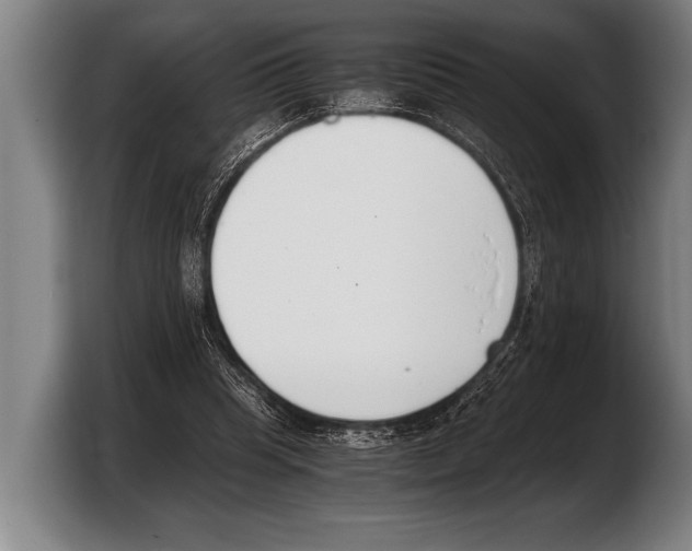 X0000103330345200810061019