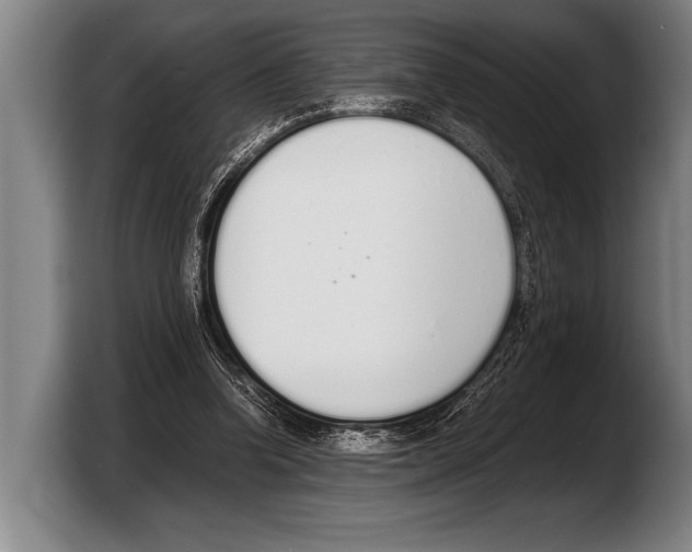 X0000103330346200810061019