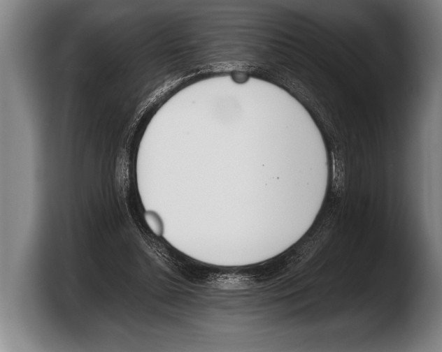 X0000103330348200810061019