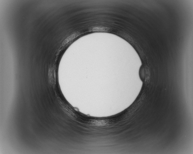 X0000103330349200810061019