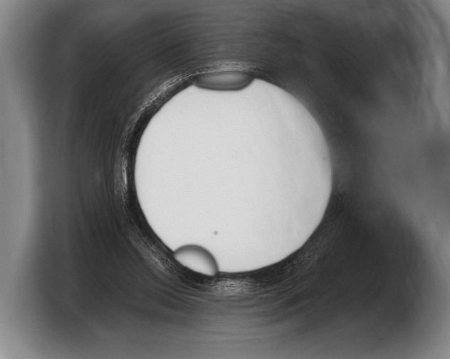 X0000103330350200810061019