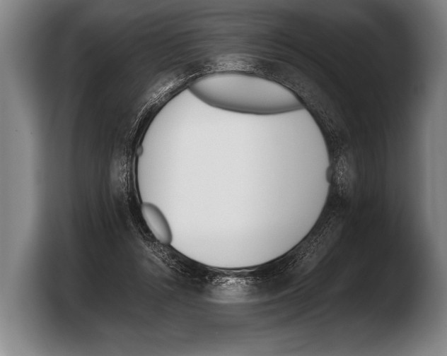 X0000103330352200810061019