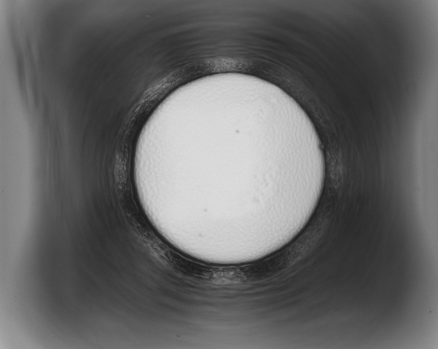 X0000103330357200810061019