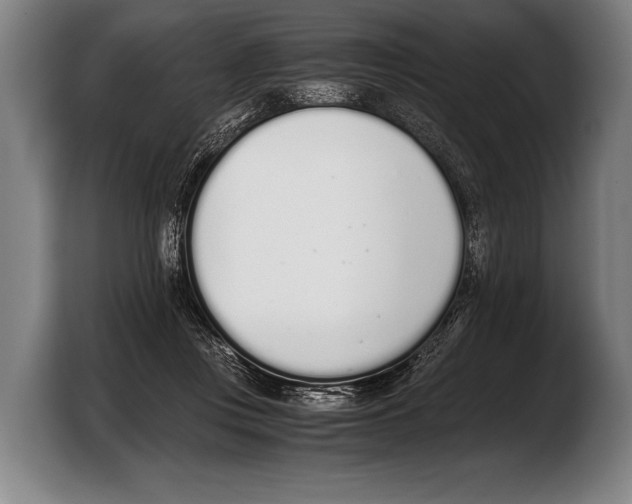 X0000103330359200810061019