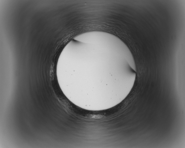 X0000103330360200810061019