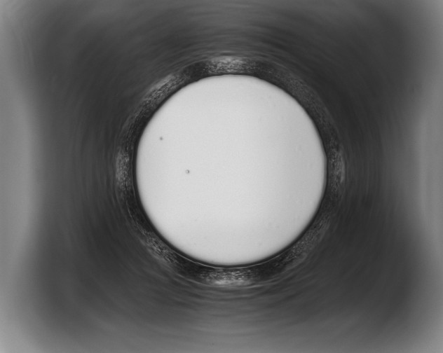 X0000103330361200810061019