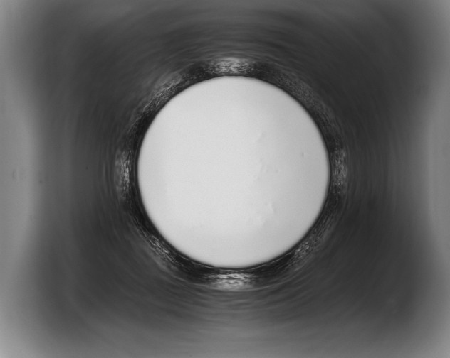 X0000103330363200810061019