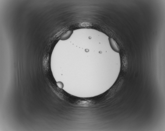 X0000103330364200810061019