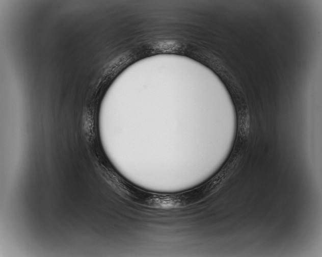 X0000103330365200810061019