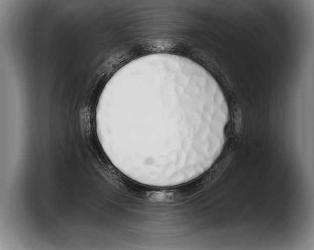 X0000103330366200810061019