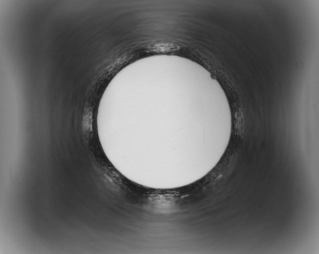 X0000103330368200810061019