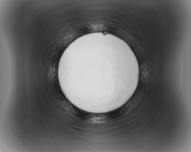 X0000103330369200810061019