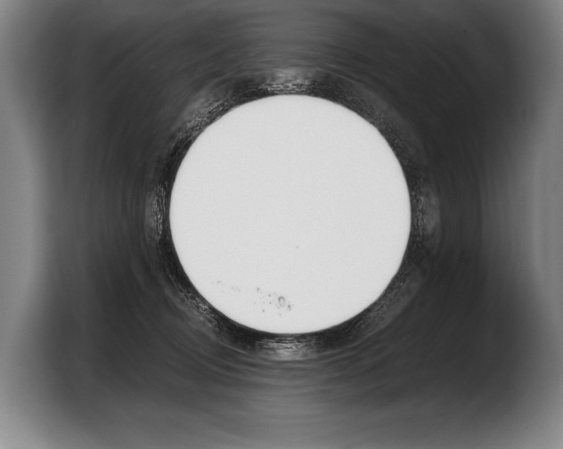 X0000103330370200810061019