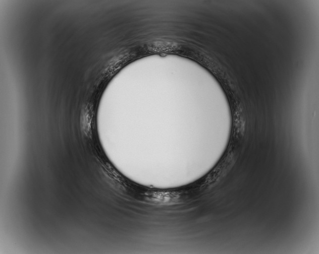 X0000103330371200810061019