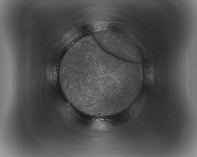 X0000103330372200810061019