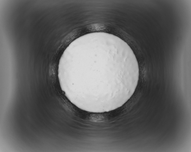 X0000103330373200810061019