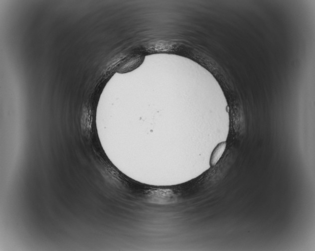 X0000103330374200810061019