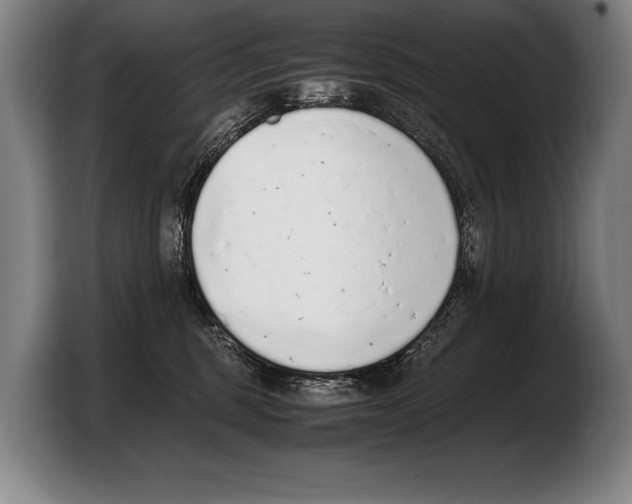 X0000103330375200810061019