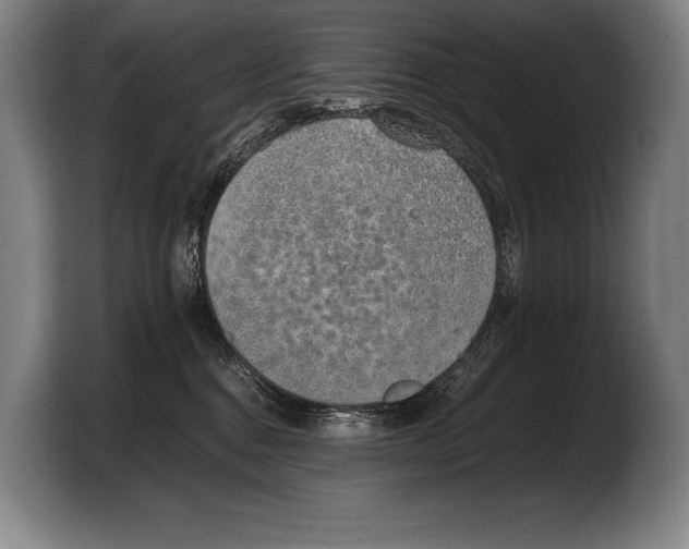 X0000103330376200810061019