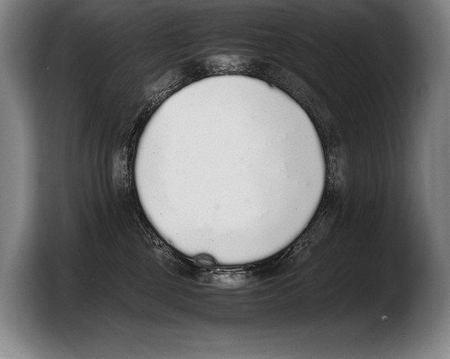 X0000103330377200810061019