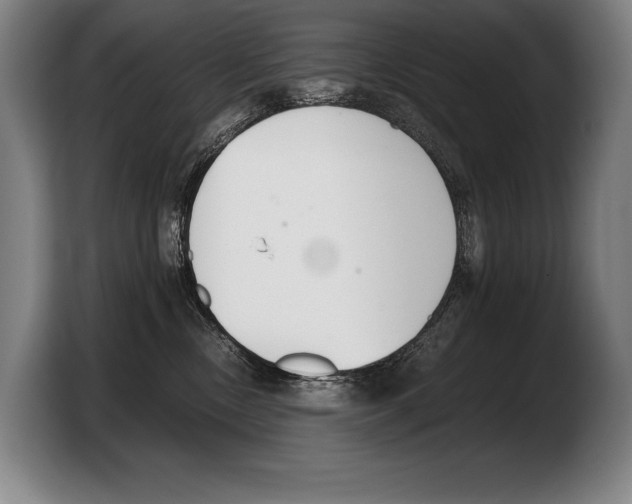 X0000103330378200810061019