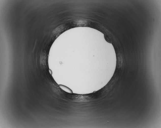 X0000103330379200810061019