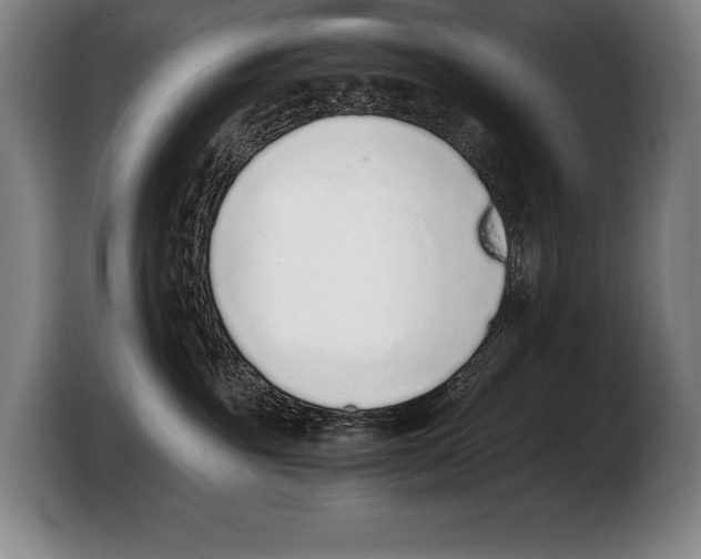 X0000103330381200810061019