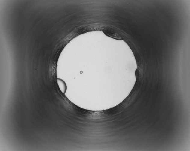 X0000103330382200810061019