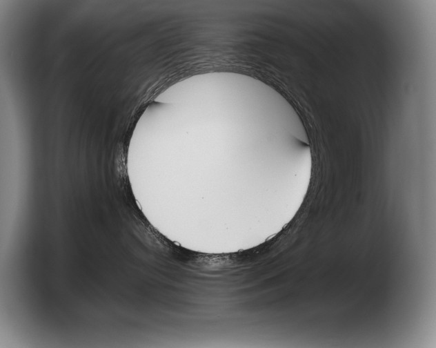 X0000103330384200810061019